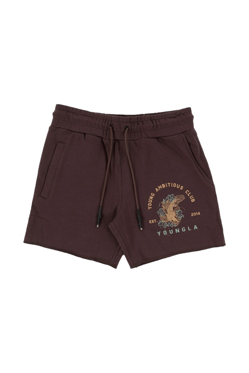 YoungLA 111 Dedication Lyhyt Shorts Ruskea | DYHQW7821