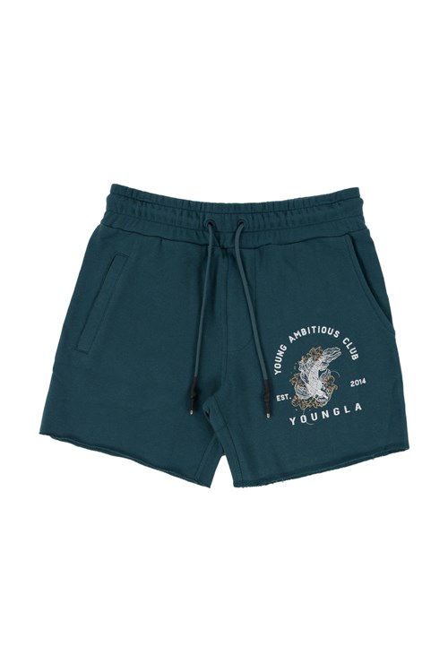 YoungLA 111 Dedication Lyhyt Shorts Teal | ESGWI9743